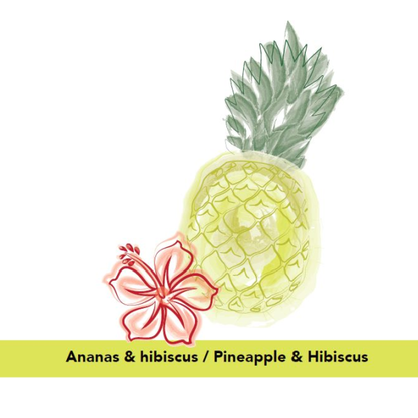 MINIHIP ∣ Élixir Anti-Odeurs ∣ Ananas & Hibiscus